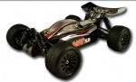 1/18 scale RTR 4wd brushless buggy-DART-BX