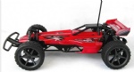 Remote control racing Buggy-Beja-California