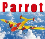 REP-TF8801 Parrot Radio Controlled 2CH RC Glider