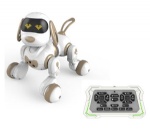 RER-4012 Infrared remote control dog