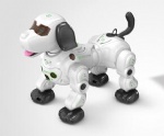 RER-4020 Infrared Control Robot Dog